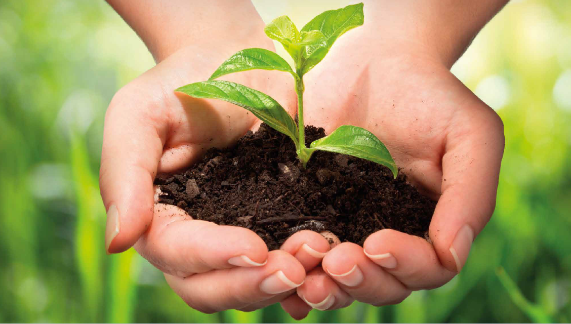 FREE Renewable Energies Seminars in September 2024